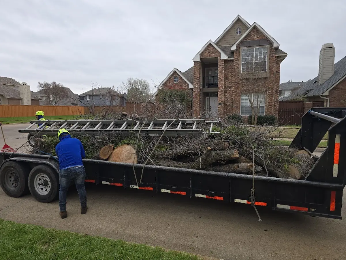 Expert Tree Fertilization with proper safety equipment in Brunswick